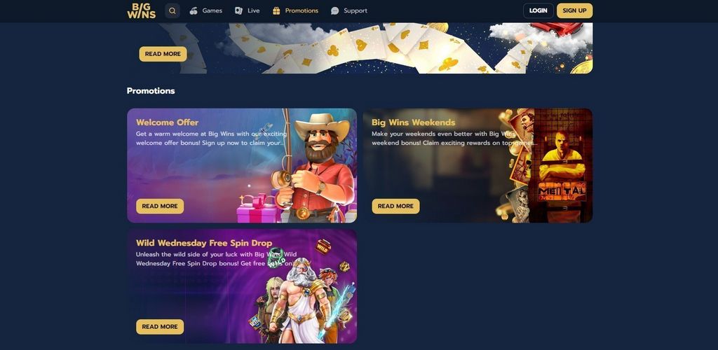 BigWins Casino Site Testimonial 2025 - 100% up to 250 USDT